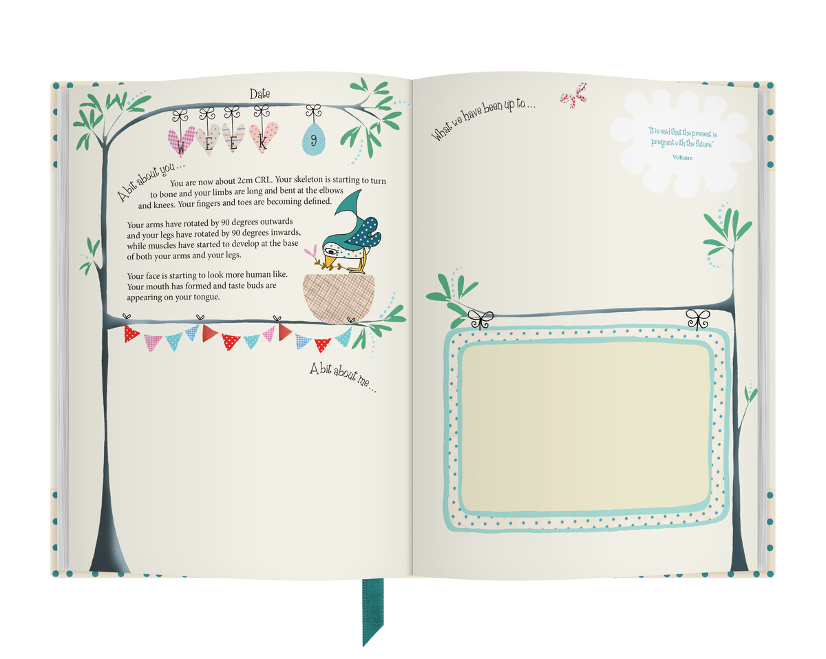 Bump to hot sale birthday book