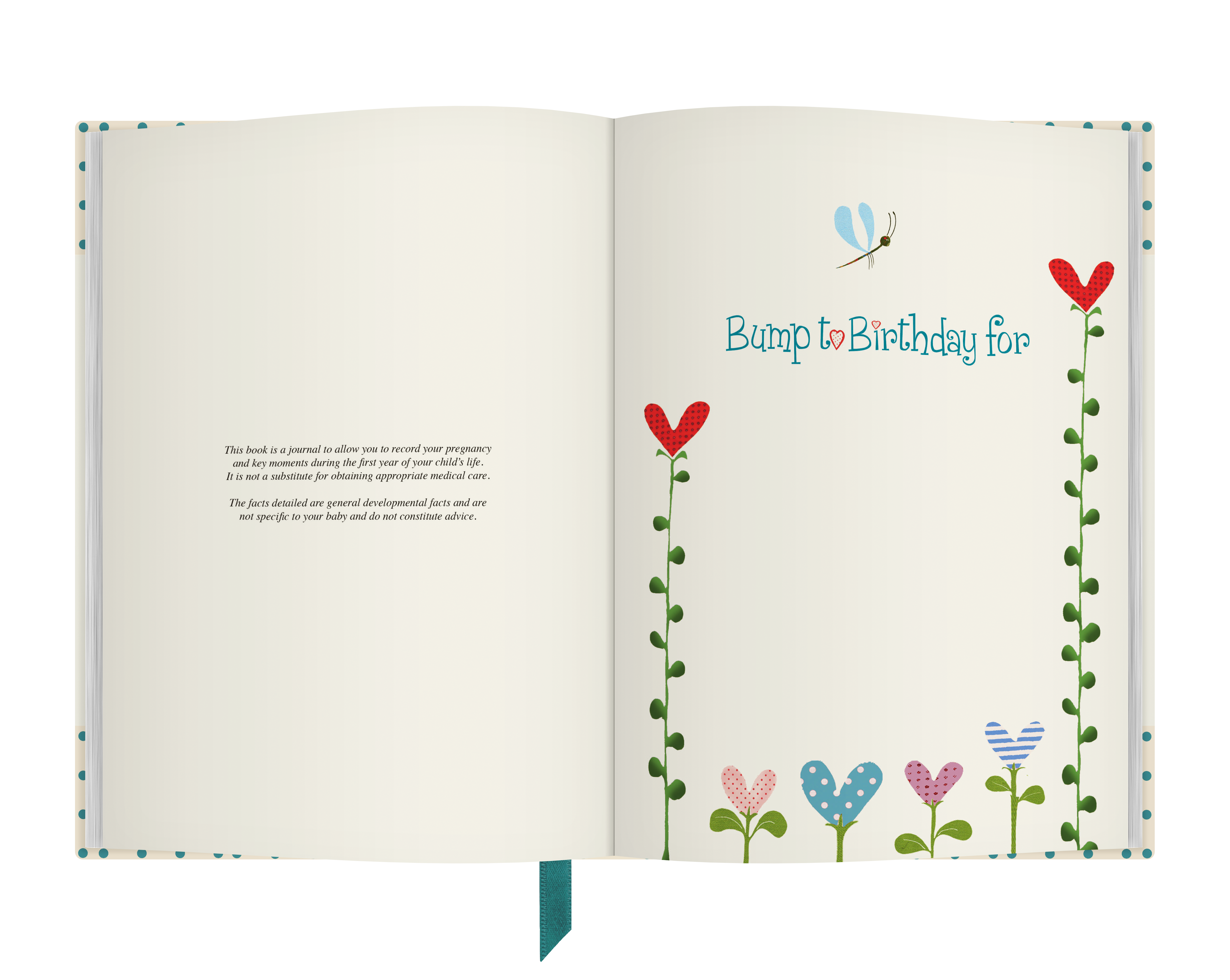 Bump to Birthday Pregnancy First Year Journal Baby Shower