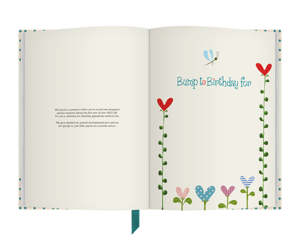 Bump to Birthday Pregnancy & First Year Journal