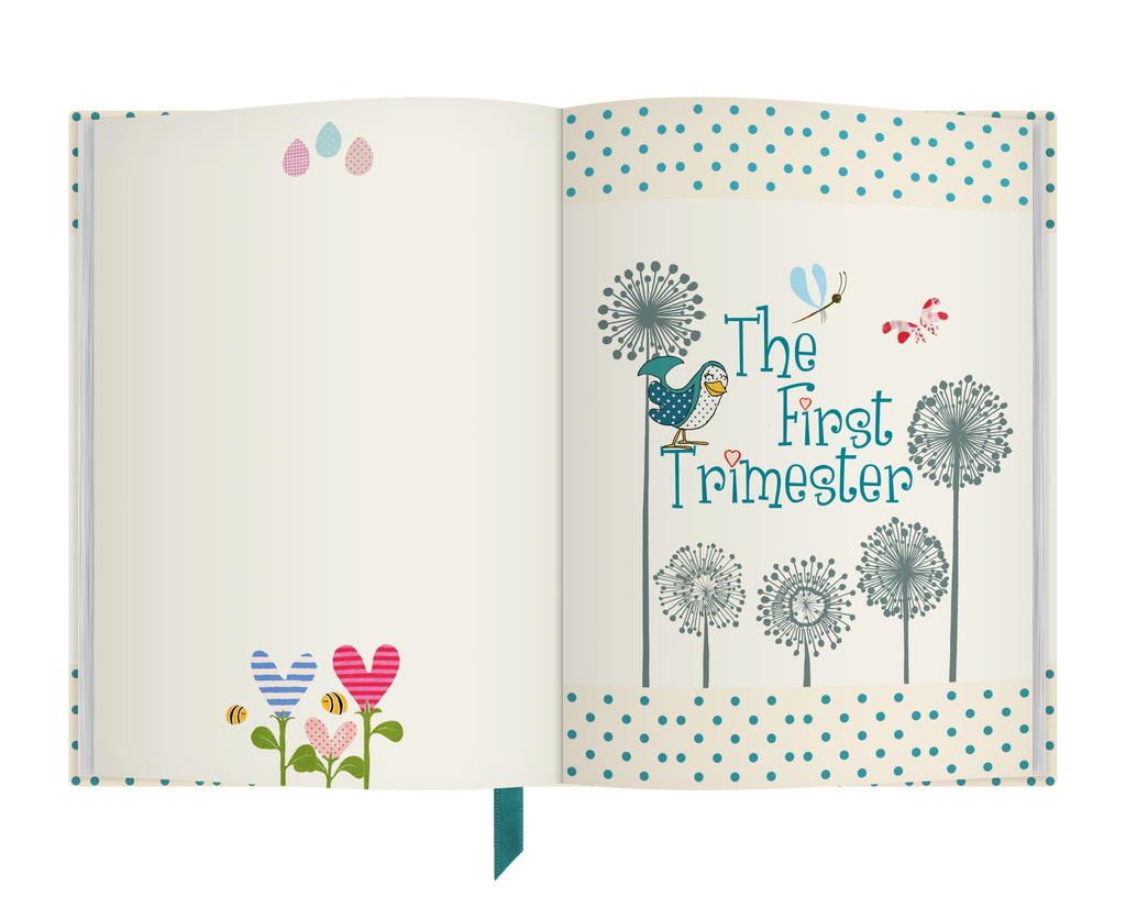 Bump to Birthday Pregnancy & First Year Journal